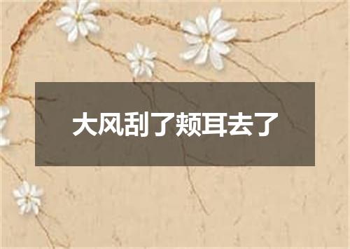 大风刮了颊耳去了