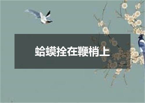蛤蟆拴在鞭梢上
