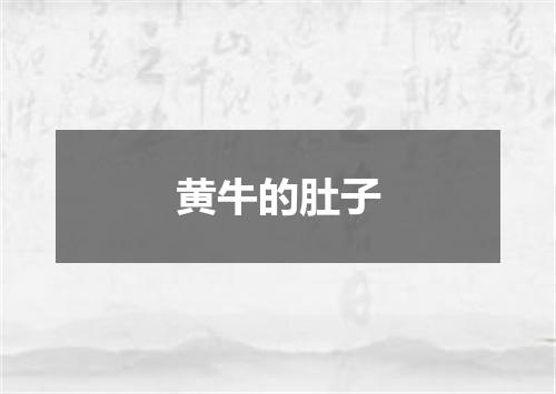 黄牛的肚子