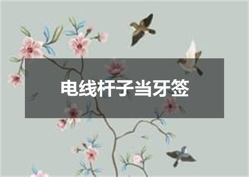 电线杆子当牙签