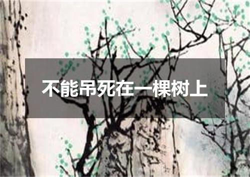 不能吊死在一棵树上