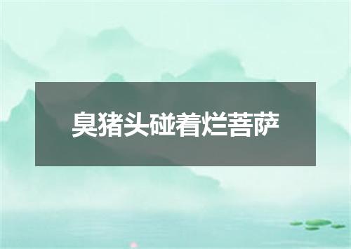 臭猪头碰着烂菩萨