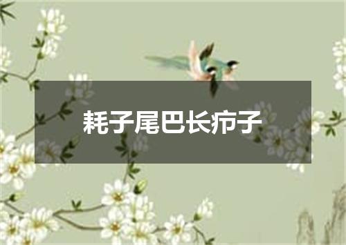 耗子尾巴长疖子