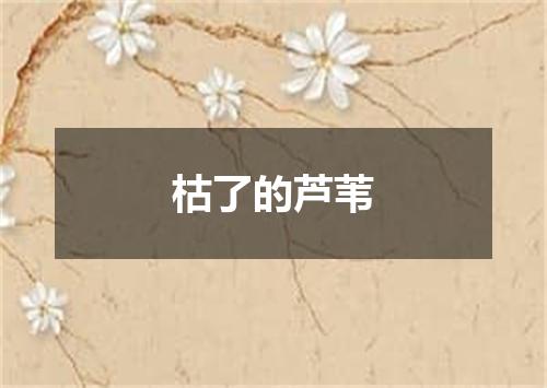 枯了的芦苇