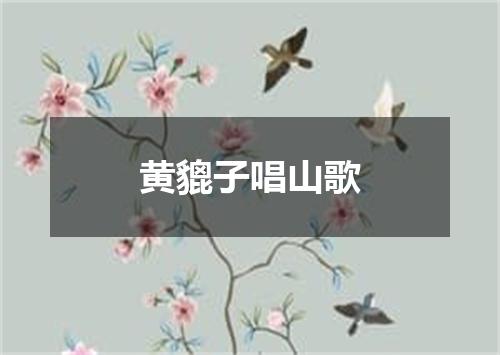 黄貔子唱山歌