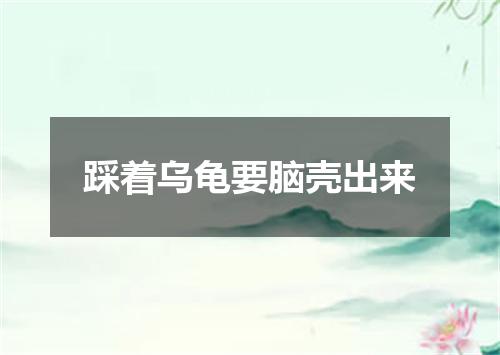 踩着乌龟要脑壳出来