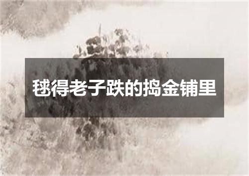 毬得老子跌的捣金铺里