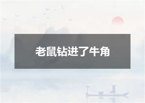 老鼠钻进了牛角