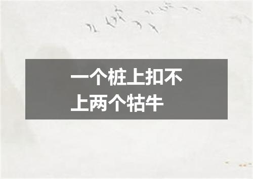 一个桩上扣不上两个牯牛