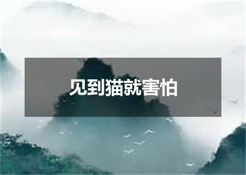 见到猫就害怕