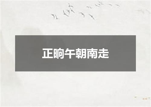 正晌午朝南走