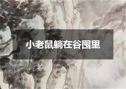 小老鼠躺在谷囤里