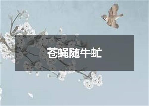 苍蝇随牛虻