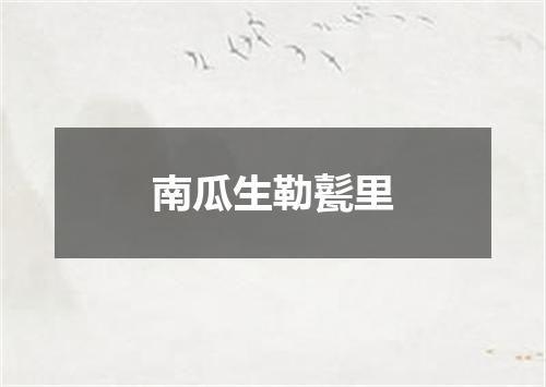 南瓜生勒甏里