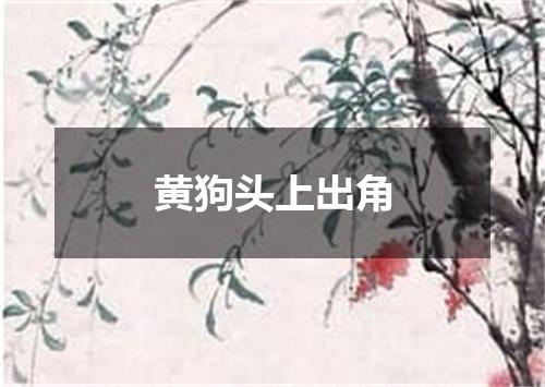 黄狗头上出角