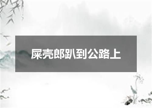 屎壳郎趴到公路上