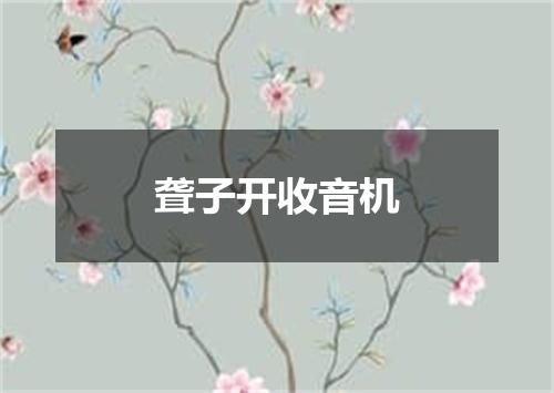 聋子开收音机