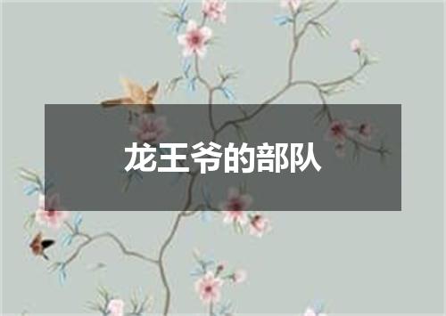 龙王爷的部队