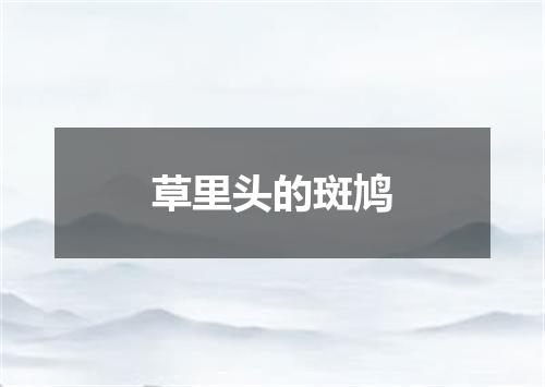 草里头的斑鸠