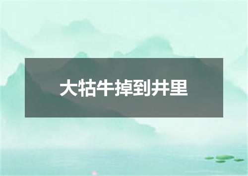大牯牛掉到井里