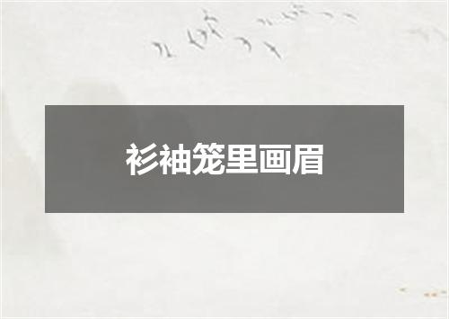 衫袖笼里画眉