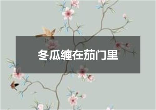 冬瓜缠在茄门里