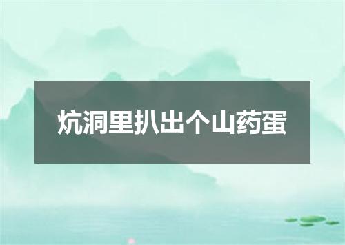 炕洞里扒出个山药蛋