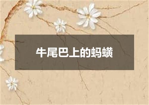 牛尾巴上的蚂蟥