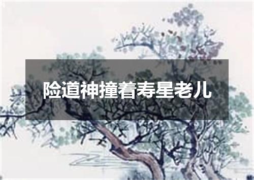 险道神撞着寿星老儿