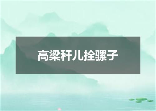 高梁秆儿拴骡子