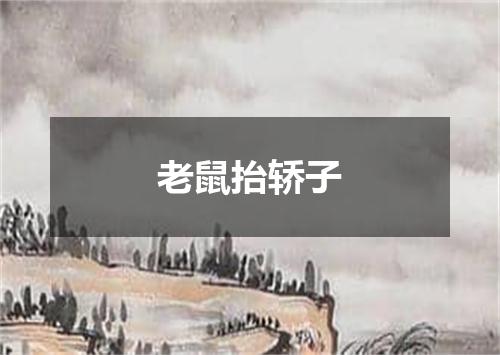 老鼠抬轿子