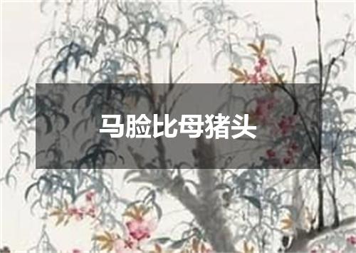马脸比母猪头