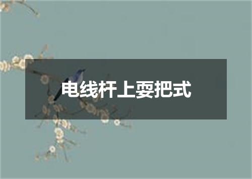电线杆上耍把式