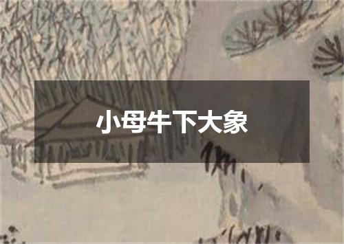 小母牛下大象