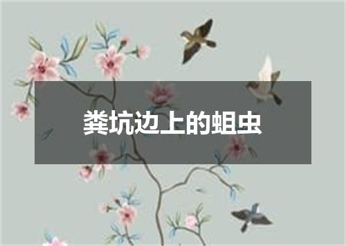 粪坑边上的蛆虫