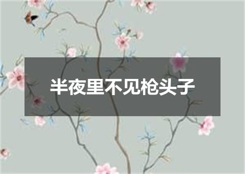 半夜里不见枪头子