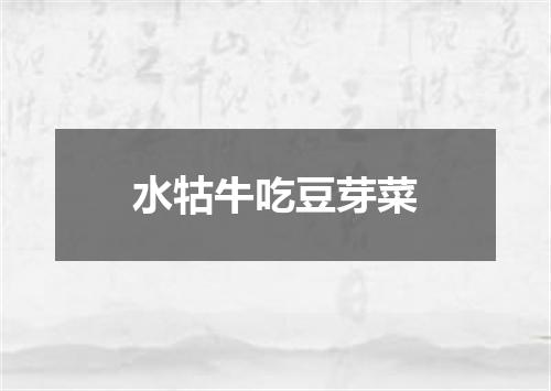 水牯牛吃豆芽菜