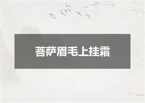 菩萨眉毛上挂霜