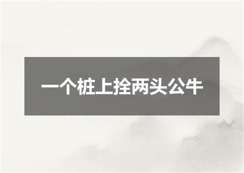 一个桩上拴两头公牛
