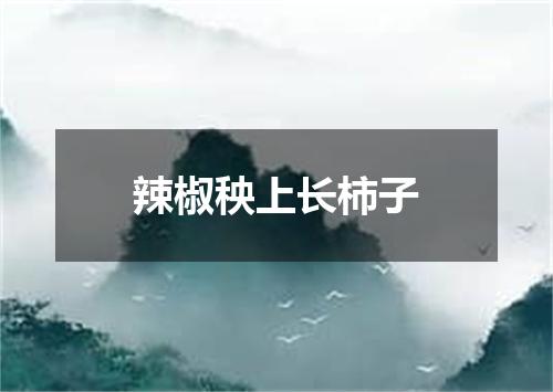 辣椒秧上长柿子