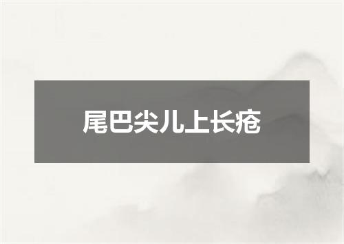 尾巴尖儿上长疮