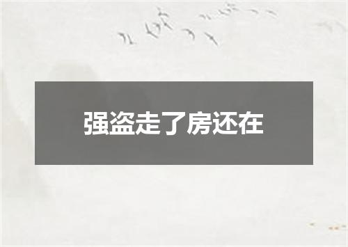 强盗走了房还在