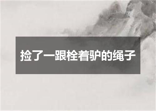 捡了一跟栓着驴的绳子