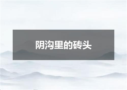 阴沟里的砖头