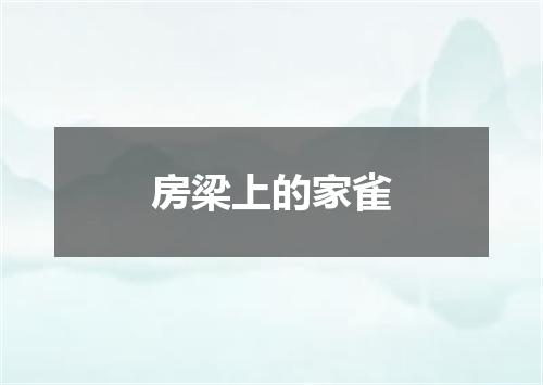 房梁上的家雀