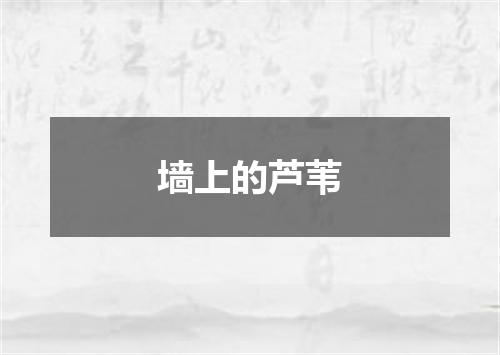 墙上的芦苇