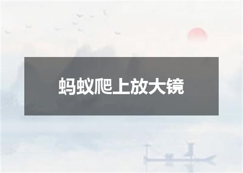 蚂蚁爬上放大镜