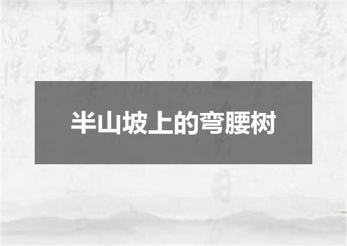 半山坡上的弯腰树