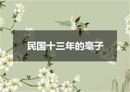 民国十三年的毫子