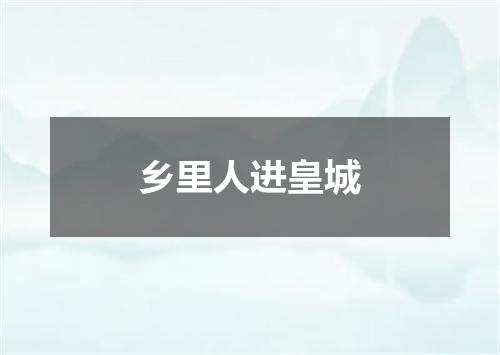 乡里人进皇城